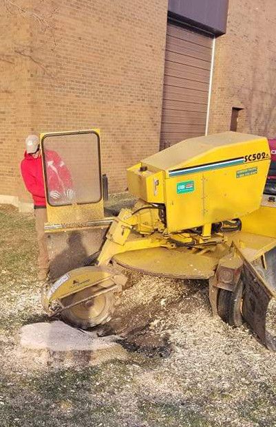 A stump grinder cutting a stump down to chips beside a brick building.