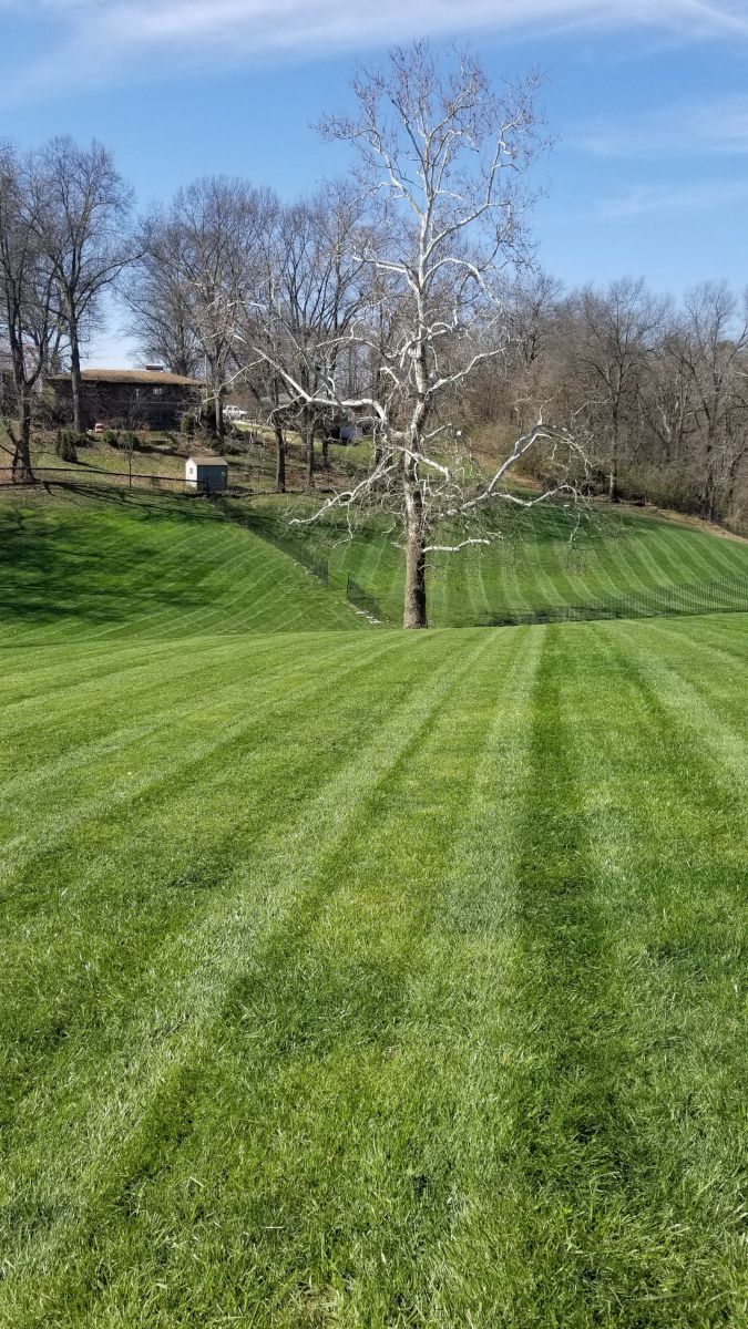 A sloping lawn cut in even stripes, running down to a treeline.