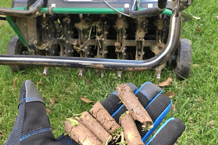 A gloved hand holding soil cores pulled from a lawn, with the aerator behind.